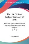 The Life Of Saint Bridget, The Mary Of Erin