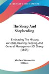 The Sheep And Shepherding