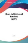 Through Storm And Sunshine (1875)