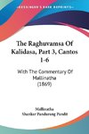 The Raghuvamsa Of Kalidasa, Part 3, Cantos 1-6