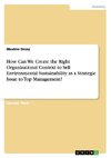 How Can We Create the Right Organizational Context to Sell Environmental Sustainability as a Strategic Issue to Top Management?