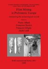 Flint Mining in Prehistoric Europe