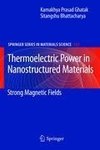 Thermoelectric Power in Nanostructured Materials