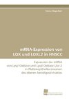 mRNA-Expression von LOX und LOXL2 in HNSCC