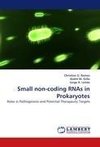 Small non-coding RNAs in Prokaryotes