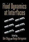 Fluid Dynamics at Interfaces