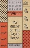 My Quest of the Arab Horse