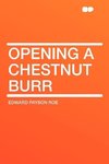 Opening a Chestnut Burr