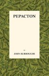 Pepacton