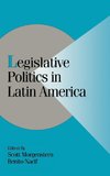 Legislative Politics in Latin America