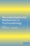 Neurodevelopmental Mechanisms in Psychopathology