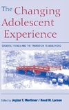 The Changing Adolescent Experience