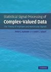 Statistical Signal Processing of Complex-Valued Data