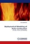 Mathematical Modeling of Pulse Combustion