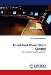 Fossil-Fuel Power Plant Control