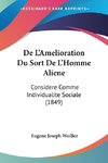 De L'Amelioration Du Sort De L'Homme Aliene