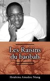 Les Raisins du Baobab