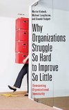 Why Organizations Struggle So Hard to Improve So Little