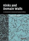 Kinks and Domain Walls