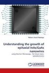 Understanding the growth of epitaxial InAs/GaAs nanowires