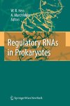 Regulatory RNAs in Procaryotes