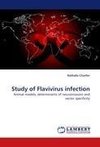 Study of Flavivirus infection