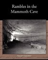 Rambles in the Mammoth Cave