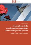 Formation de la condensation dermique chez l'embryon de poulet