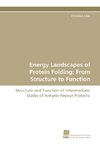 Energy Landscapes of Protein Folding: From Structure to Function