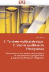 1. Tandem multicatalytique   2. Vers la synthèse de l'Hodgsonox