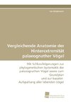 Vergleichende Anatomie der Hinterextremität palaeognather Vögel