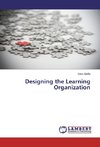 Designing the Learning Organization