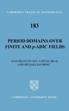 Period Domains Over Finite and p-Adic Fields