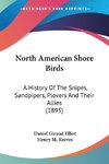 North American Shore Birds