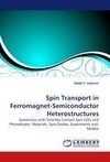 Spin Transport in Ferromagnet-Semiconductor Heterostructures