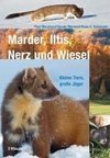 Marder, Iltis, Nerz und Wiesel