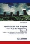 Qualification Plan of Spent Triso Fuel for Repository Disposal