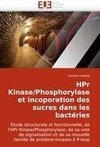 HPr Kinase/Phosphorylase et incoporation des sucres dans les bactéries