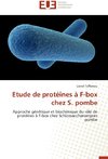 Etude de protéines à F-box chez S. pombe