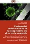 Partenariat moléculaire de la nucléoprotéine du virus de la rougeole