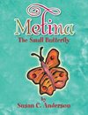 Metina the Small Butterfly