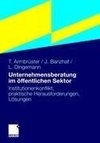 Unternehmensberatung im öffentlichen Sektor