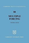 Multiple Forcing