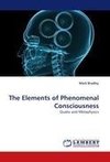 The Elements of Phenomenal Consciousness