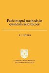 Path Integral Methods in Quantum Field Theory