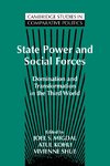 State Power and Social Forces