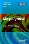 Morphogenesis