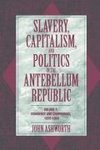 Slavery, Capitalism, and Politics in the Antebellum Republic