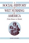 A Social History of Wet Nursing in America