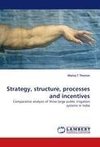 Strategy, structure, processes and incentives